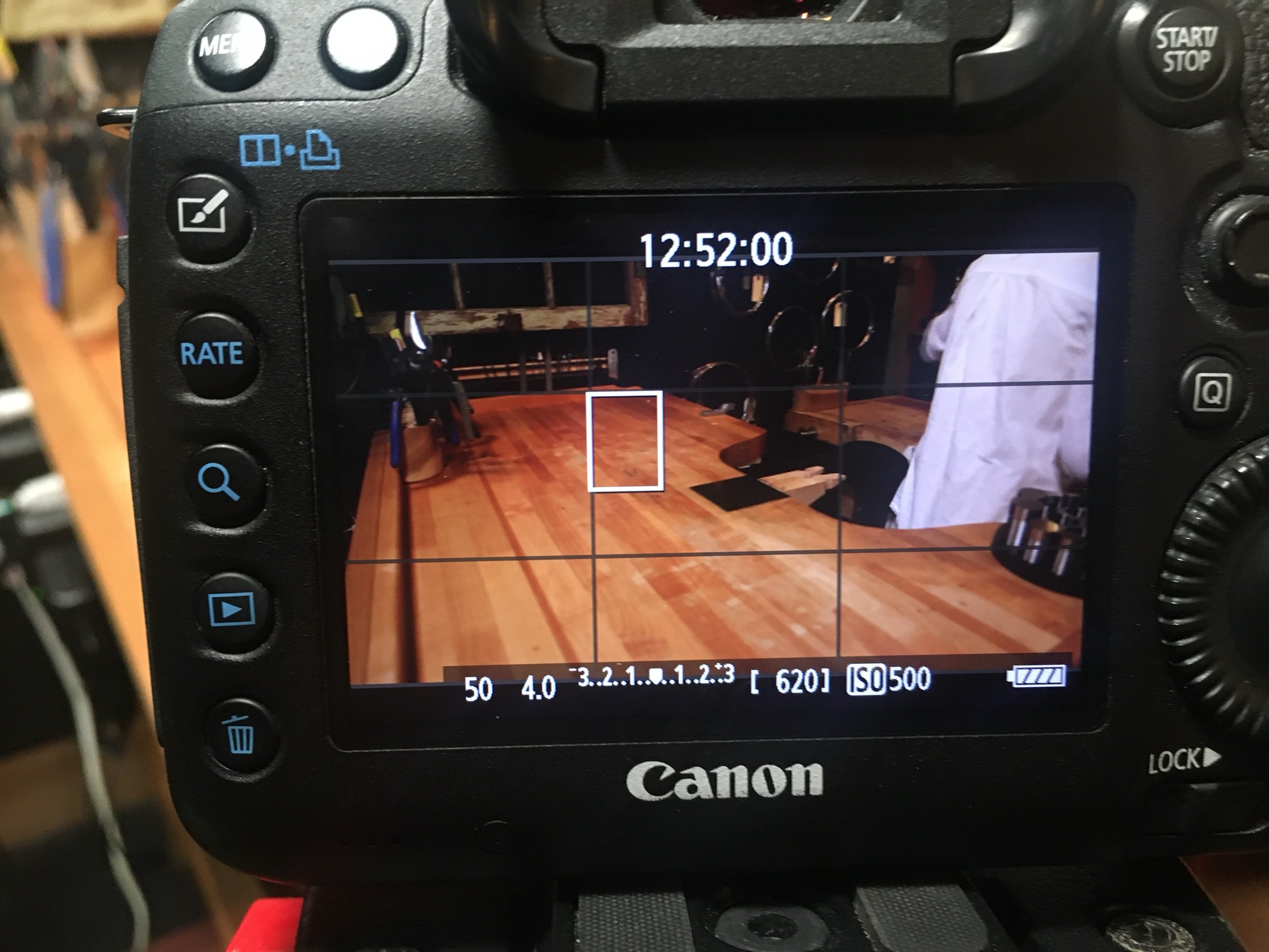 View from the back of a camera